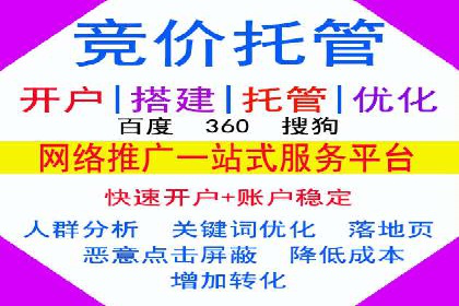 竞价排名中关键词出价策略的案例探讨